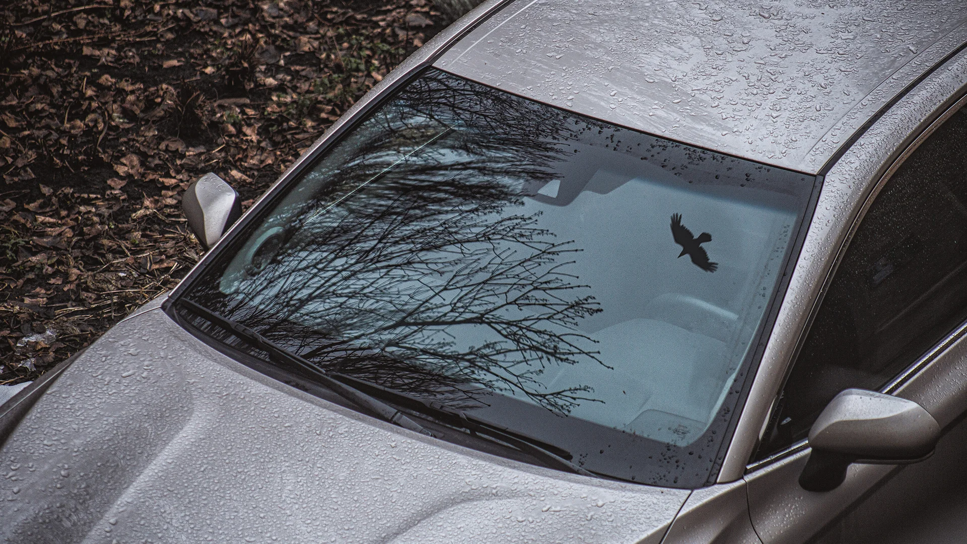 Featured image for “Signs of a Bad Windshield Replacement: How to Ensure Your Safety on the Road”